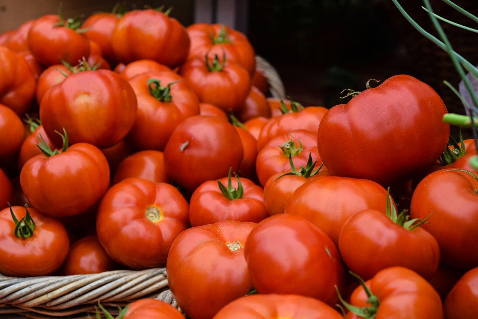 The Periodic Table of Food Initiative